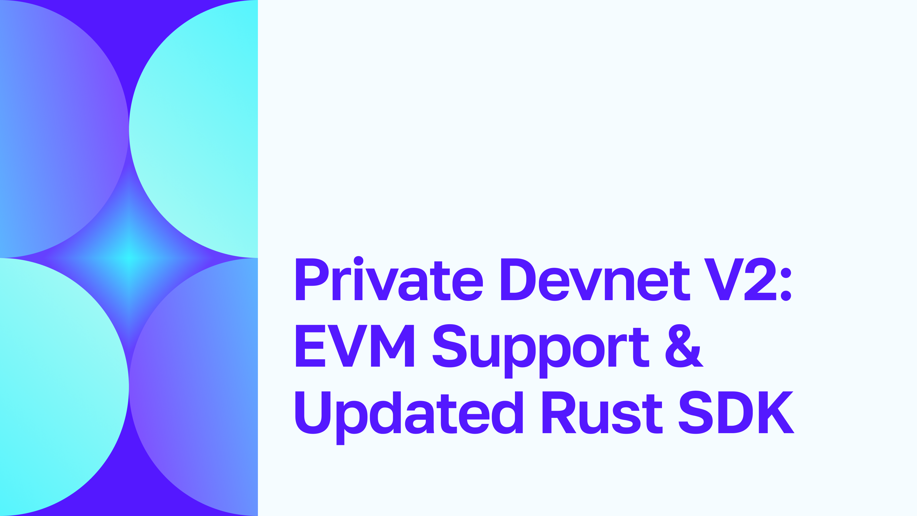 Private Devnet V2: EVM Support and Upgraded Rust SDK